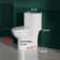 17" Comfort Height Standard Toilet，Dual Flushing Modern Elongated One Piece Toilet Glazed Surface (Seat Included), Compact Toilet for Bathroom