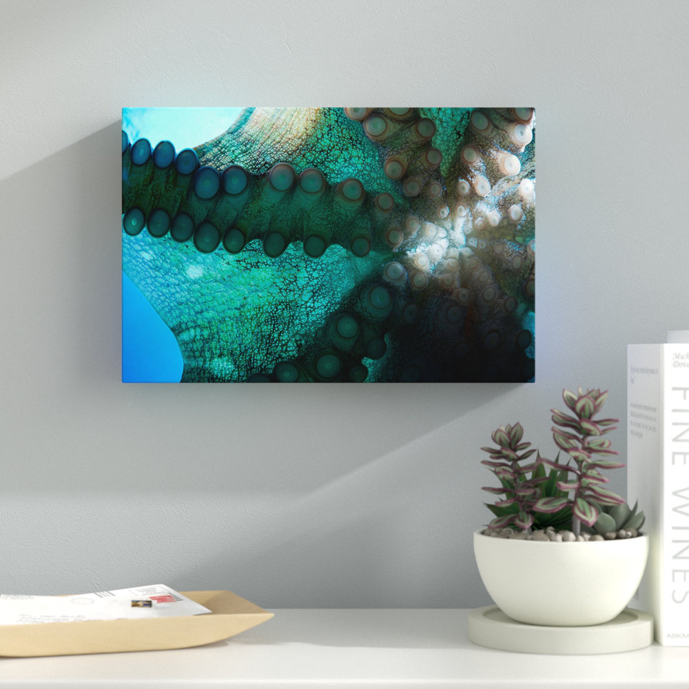 Day Octopus by David Fleetham - Wrapped Canvas Photograph Print