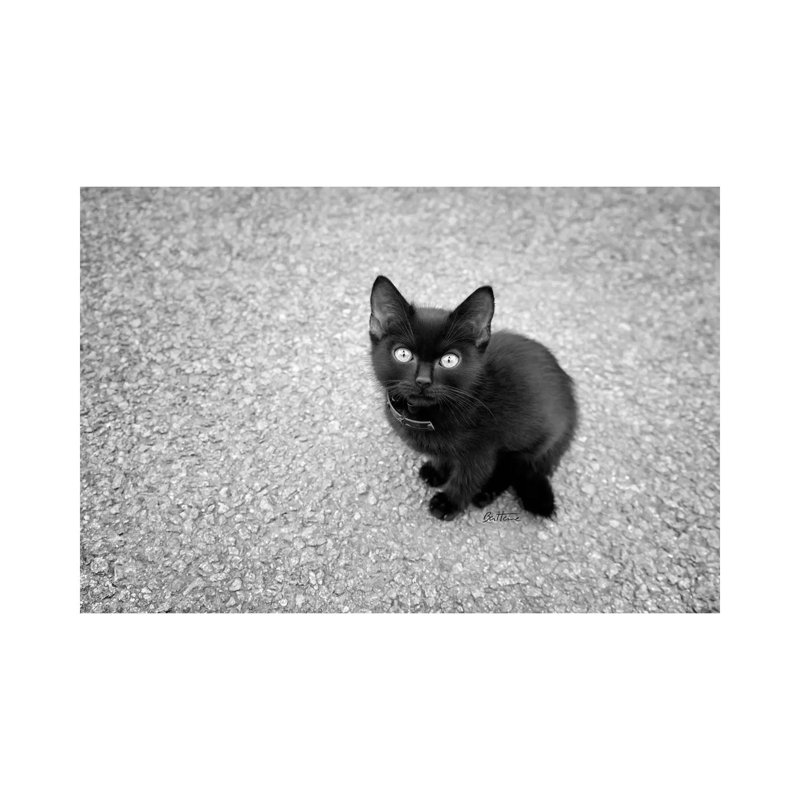 Just A Baby by Ben Heine - Print on Canvas, Wrapped Canvas, 66.04 cm H x 45.72 cm W x 1.91 cm D