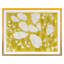 Golden Spirea Print by Kate Roebuck-227653272-227653271