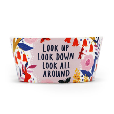 Segrest Bowl Boxed - Bonbi Forest (Look Up)
