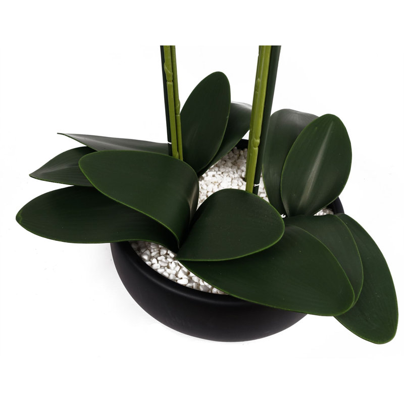 60cm Faux Plant in Ceramic Pot, White, Black