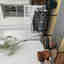 Photos des clients 1 de 1
