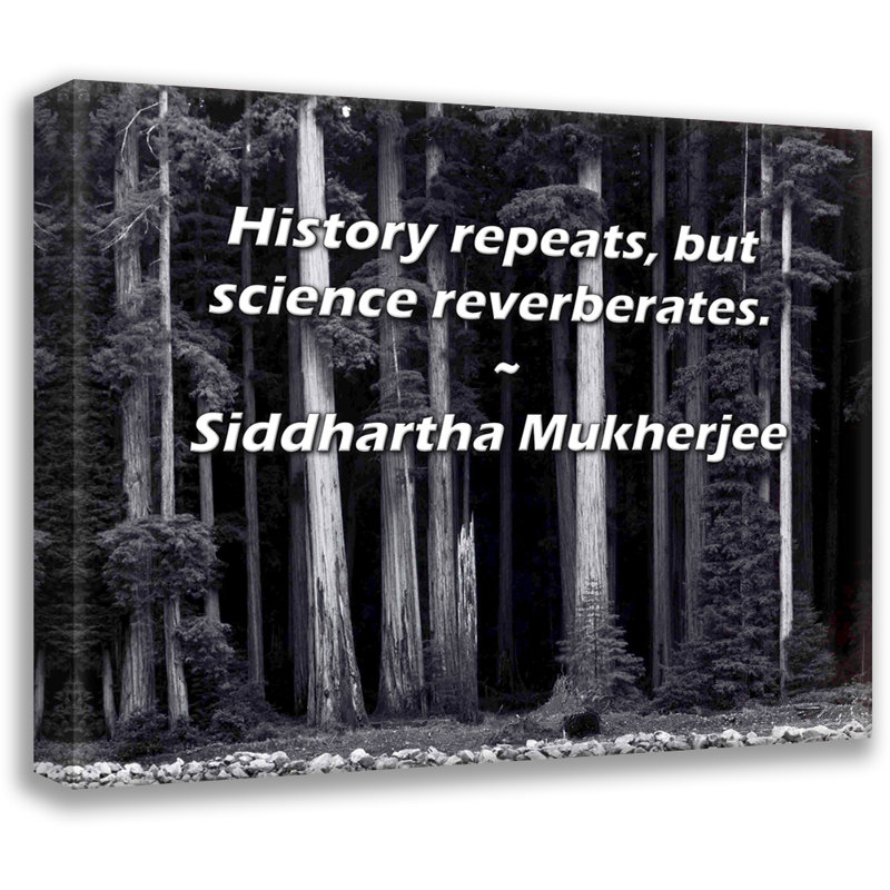 «World Menagerie Gallery», toile tendue par Siddhartha Mukherjee, H 28 po x l 40 po