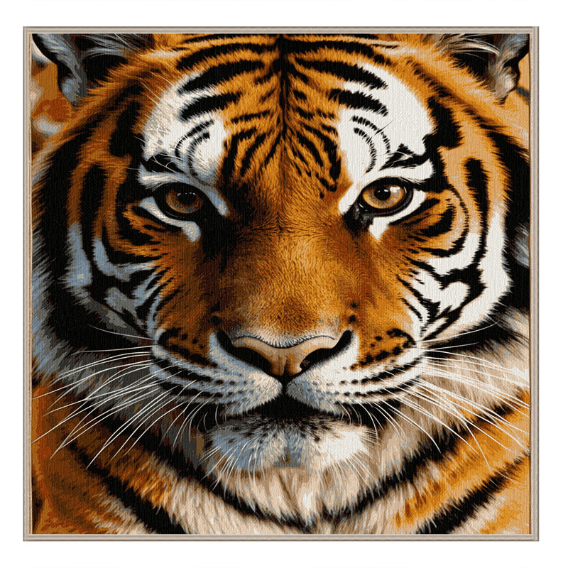  Tapis lavable et tigré Golden Big Chats, Carré 8 pi