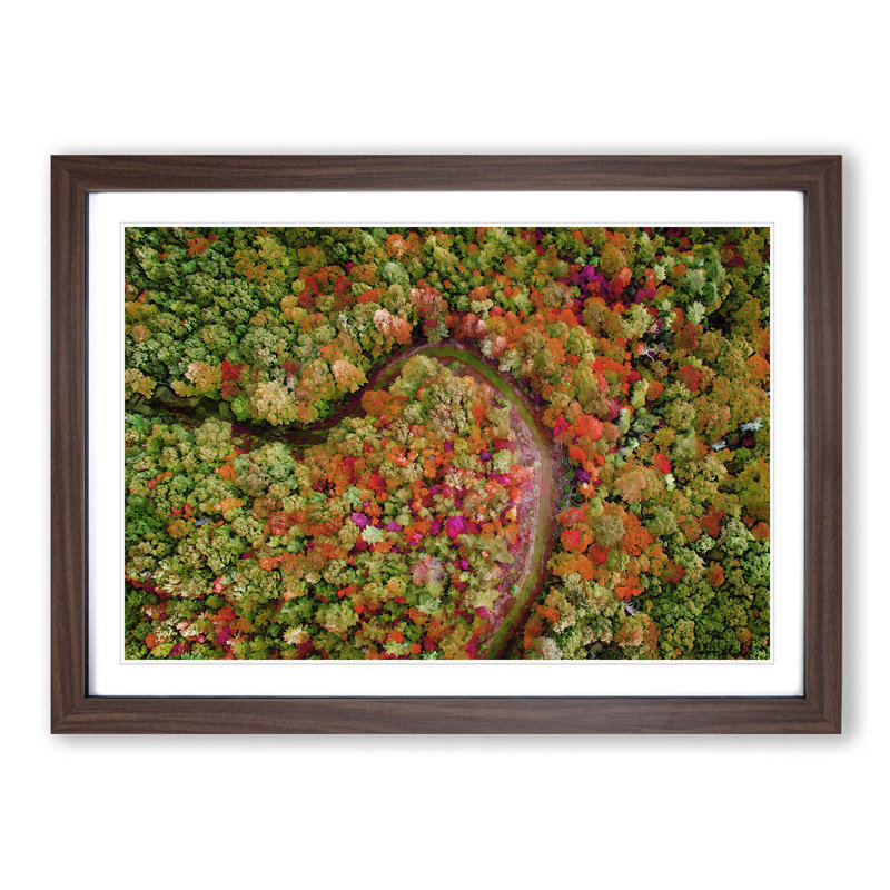 Road Through the Forest - Picture Frame Graphic Art Print, Walnut, 50cm H x 76cm W x 2cm D