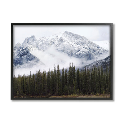 Snowy Mountain Top Tall Fir Trees