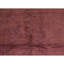 Area Rug in Rust