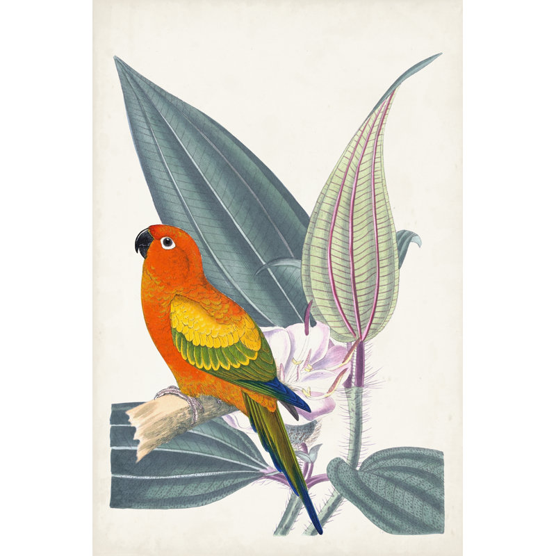 Tropical Bird And Flower IV - Wrapped Canvas Painting, 76cm H x 51cm W, Wrapped Canvas