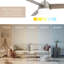 Ventilateur de plafond intelligent à 3 pales 52 pouces Gale Collection 2700K-6000K
