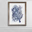 «Seaweed Under Water II», reproduction sur verre encadrée-678182226-678182312