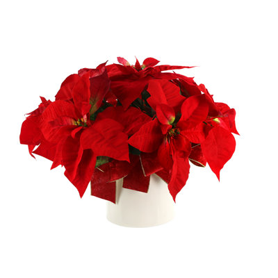 Chillicothe Poinsettia Holiday Floral in Fiberstone Pot