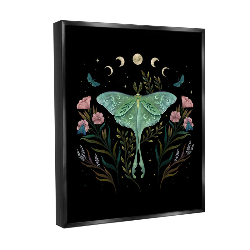 "Luna Moth with Florals", art mural sur toile flottante par Episodic Dessins, Cadre flottant noir de jais, H 31 po x l 25 po