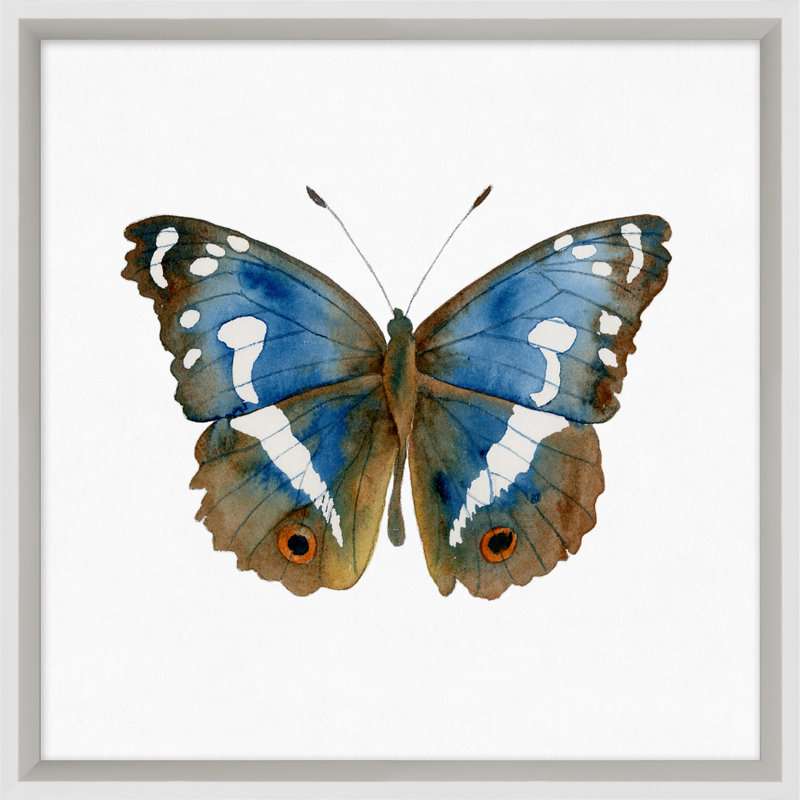«Butterfly Study 2», reproduction d'impression sur verre encadrée
