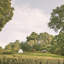 Paz VII Print by Karyn Millet-50632641-50632645