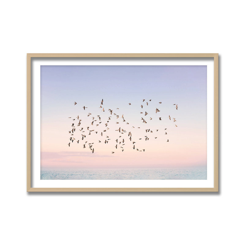 Nature Inspired Sunset Flight by  - Picture Frame Photograph on Paper, 24" H x 36" W 