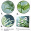 Ferns Plant Ethereal Whispers I - impression-1002087744-1002087768