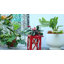 Paquet de 2 lanternes de Noël rouges avec bougie DEL sans flamme scintillante et verdure des Fêtes, lanternes en métal, décoration de Noël, décoration intérieure