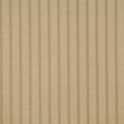Allure Fabric
