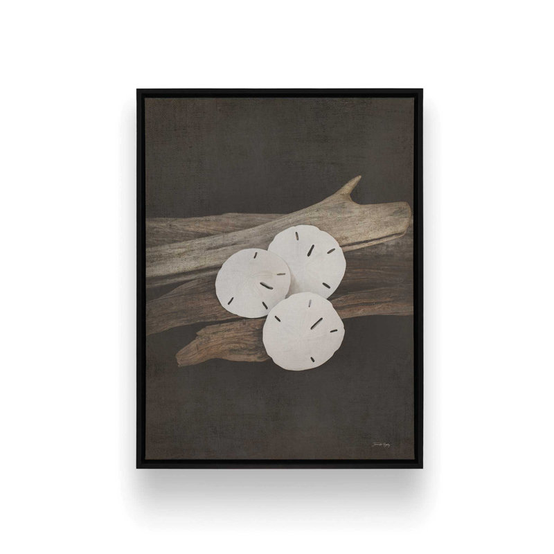 «Vintage Sea II» par Jennifer Rigsby, reproduction d'art, Toile avec cadre, Noir, L 18 po x H 24 po