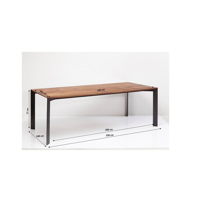 Table Phoenix 100x220cm