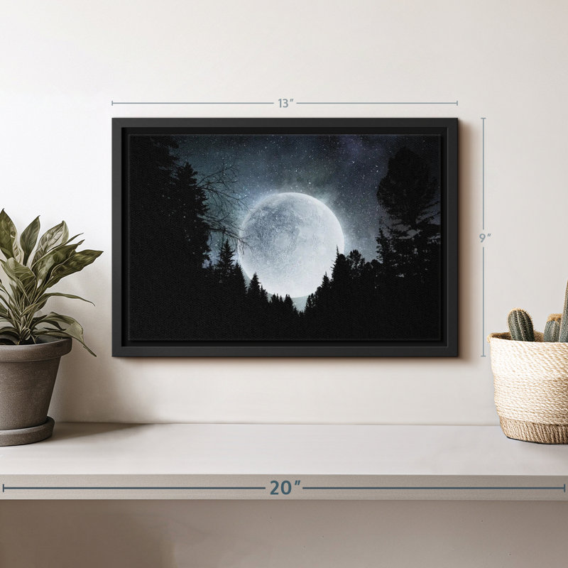 «Moon Outdoor Wall Art», H 9 po x l 13 po
