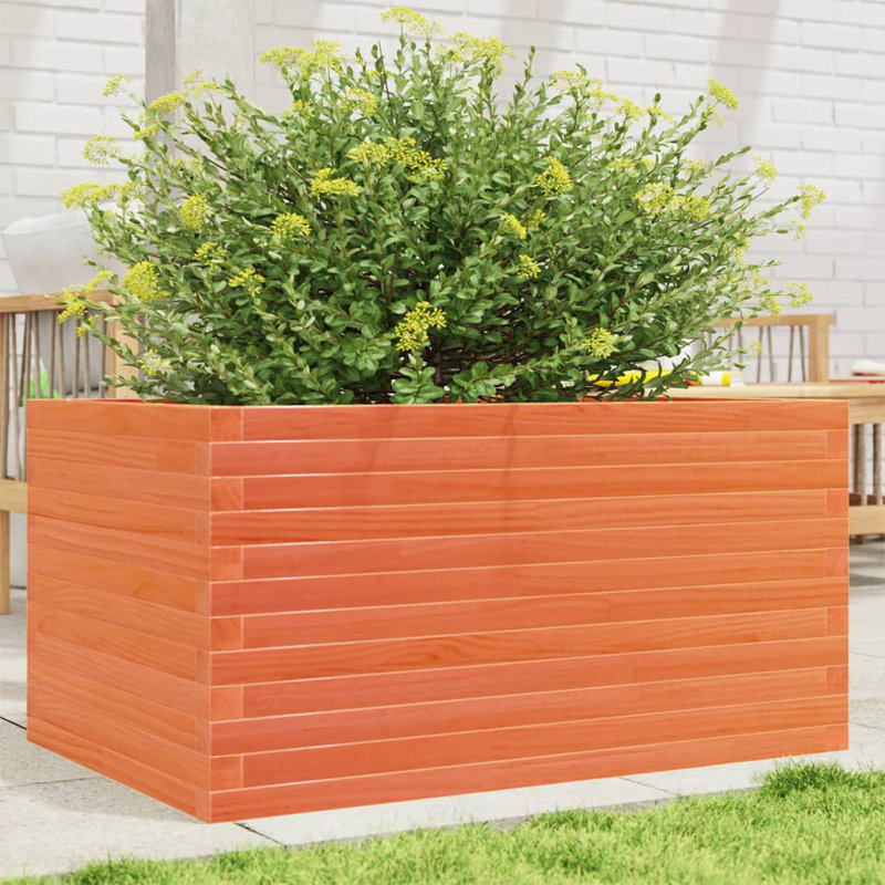 Bois de pin vidaXL, H 18,1 po x l 35,4 po x P 23,6 po, Brun cire