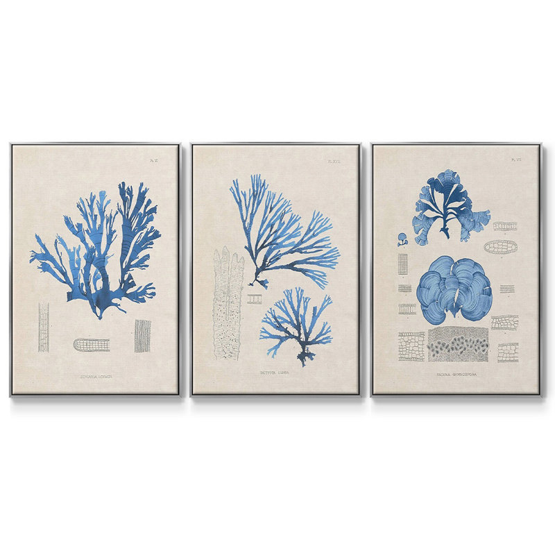 3 algues bleu marine IV, Argent, H 36 po x l 72 po