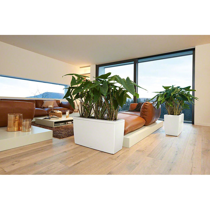 Cararo Pot Planter, White