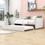 Lit de jour simple avec couchette Motilaal-1447020298