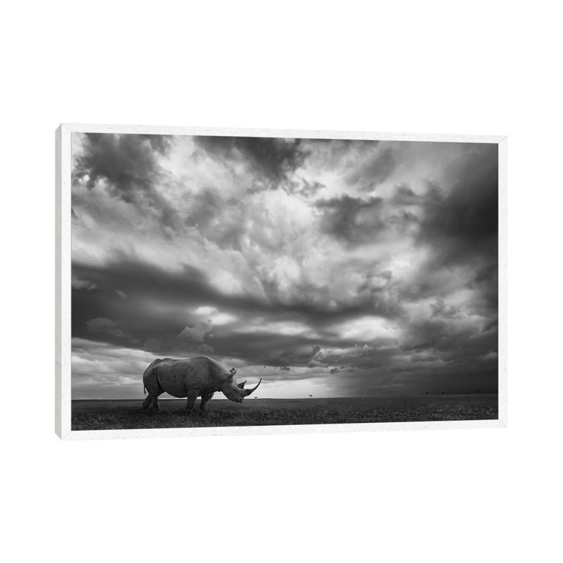 Rhino Land by Mario Moreno - Print on Canvas, 45.72cm H x 66.04cm W x 3.81cm D, White Floater Framed