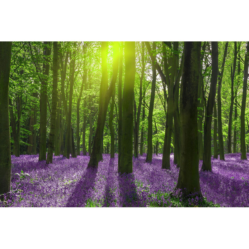 Paysage naturel «Sunshine In The Forest With Purple Flowers» sur toile, H 12 po x l 18 po