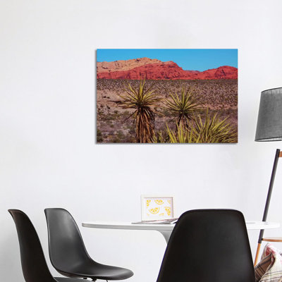 Soaptree Yucca, Red Rock Canyon National Conservation Area, Nevada, USA 1 Piece Wrapped Canvas Wall Art