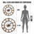 Lucene Iron Wall Clock