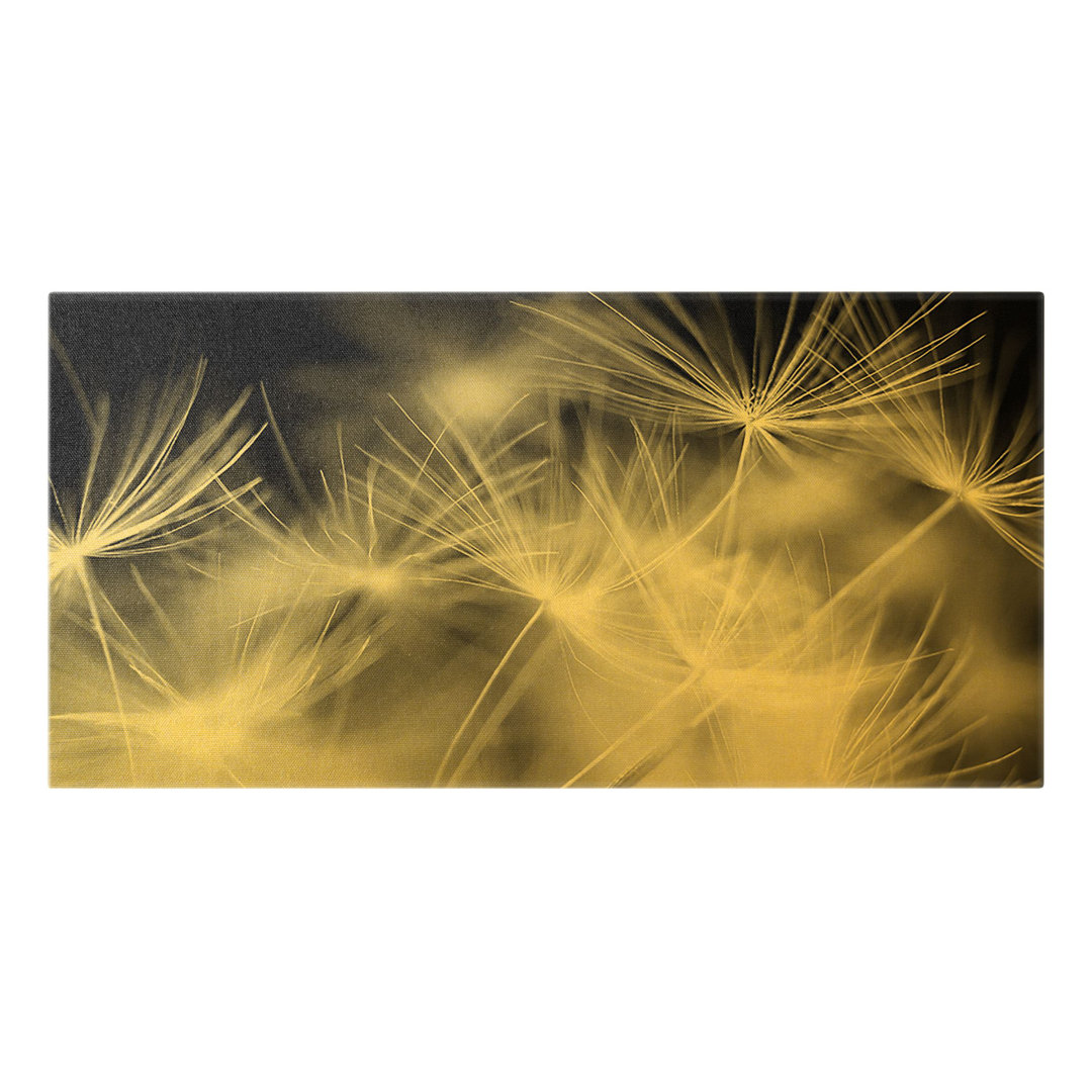 Leinwandbild Moving Dandelions Close - up on a Black Background