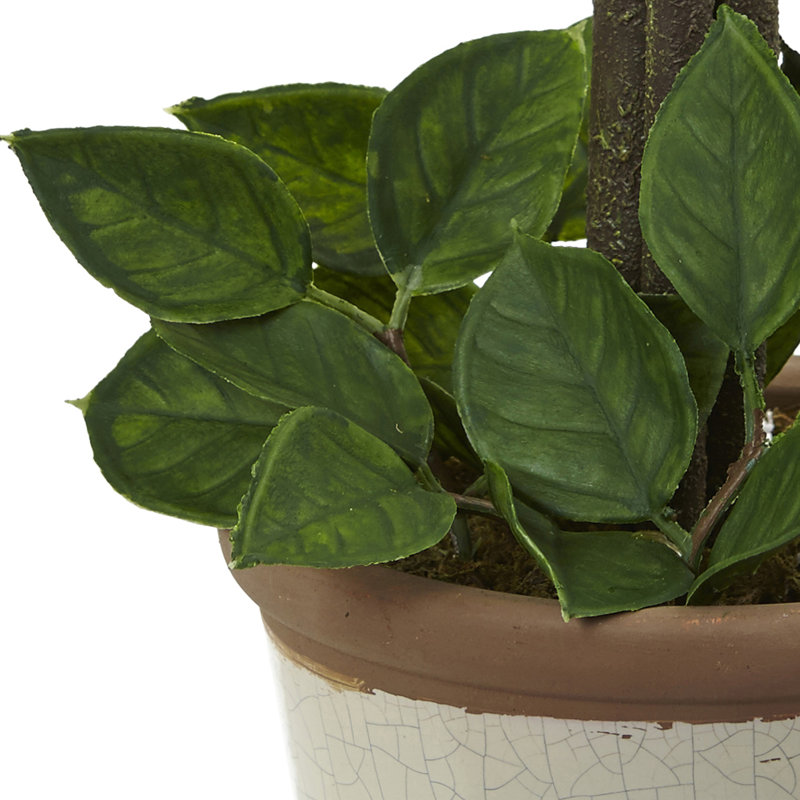 18'' Faux Topiary in Ceramic Planter