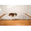  Tapis pour chien Puprug Runner-562120706-562120719