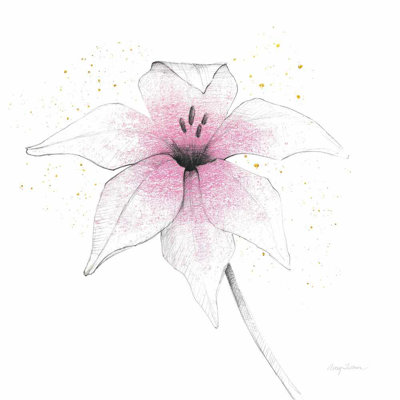 Fleur rose graphite V