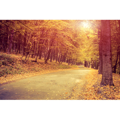 Road In Forest 1 Piece Wrapped Canvas Wall Art