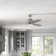Erina 52'' Ceiling Fan with LED Lights