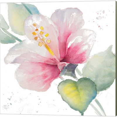 «Fragrant Hibiscus» par Lanie Loreth, art sur toile (ensemble de 2)