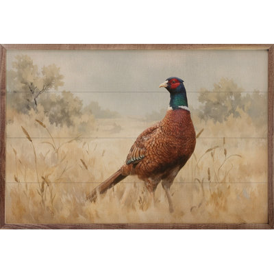 Pheasant in Wheat Field