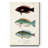 " Antique Fish Trio IV "-1657709923