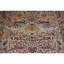 Wool Oriental Area Rug