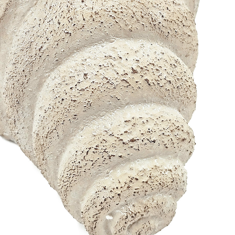 11.5X7x7 Inches Sand And Cement Shell Planter For Bohemian Home Decor With Herbs Trailing Plants Rustic Room