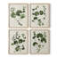 «Forest Foliage on Linen I», reproduction encadrée - ensemble de 4-1249868159-1249868156