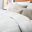 Winter Down Alternative Comforter-23666823