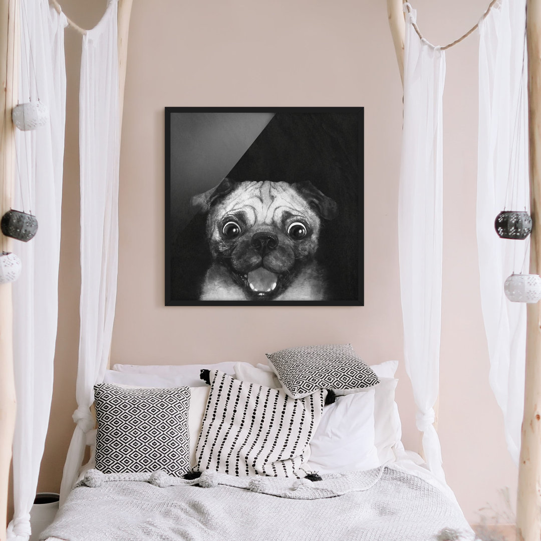 Gerahmtes Poster Illustration Hund Mops auf Schwarz Weiß