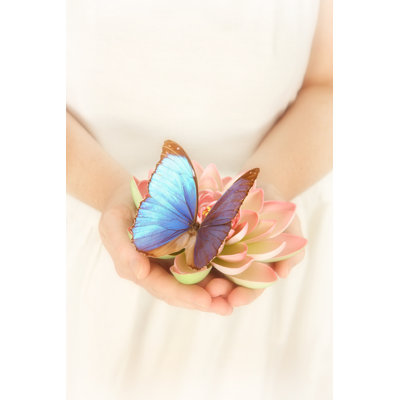 Butterfly in Hands by Hidesy