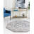 Oriental Indoor Rug-1708479675